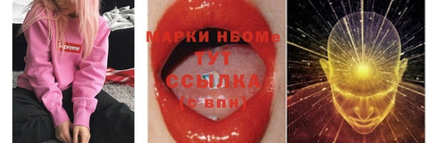 хмурый Липки
