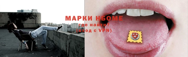 хмурый Липки