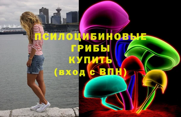 хмурый Липки