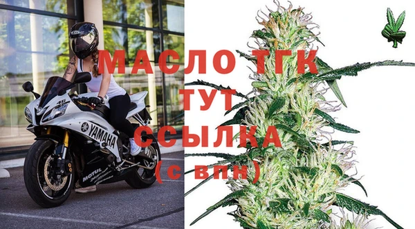 хмурый Липки