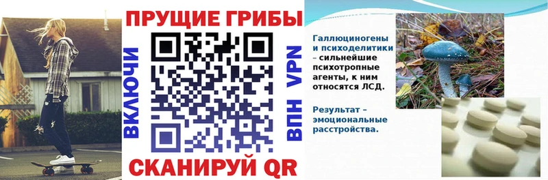 darknet клад  Трёхгорный  Галлюциногенные грибы Magic Shrooms 